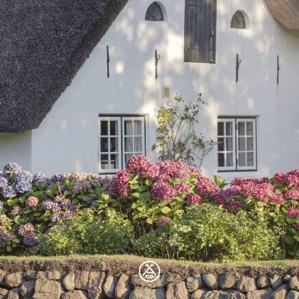 Andresen & Co. – Premium-Immobilien auf Sylt, Instagram-Beitrag