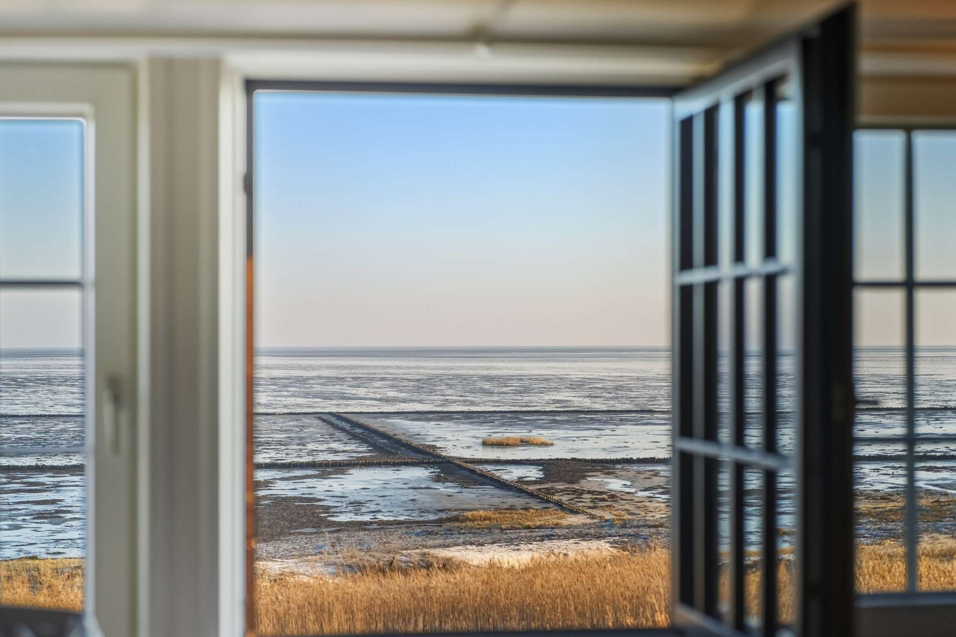 Ausblick OG